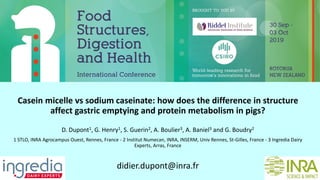 Casein micelle vs sodium caseinate: how does the difference in structure
affect gastric emptying and protein metabolism in pigs?
D. Dupont1, G. Henry1, S. Guerin2, A. Boulier3, A. Baniel3 and G. Boudry2
1 STLO, INRA Agrocampus Ouest, Rennes, France - 2 Institut Numecan, INRA, INSERM, Univ Rennes, St-Gilles, France - 3 Ingredia Dairy
Experts, Arras, France
didier.dupont@inra.fr
 