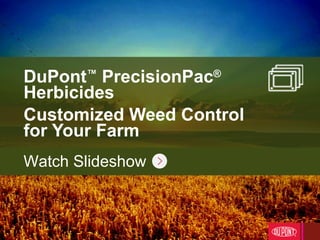 DuPont ™  PrecisionPac ® Herbicides Customized Weed Control for Your Farm Watch Slideshow 
