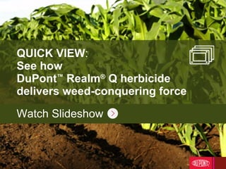 QUICK VIEW :  See how  DuPont ™  Realm ®  Q herbicide  delivers weed-conquering force Watch Slideshow 