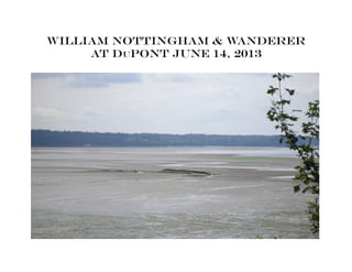 William Nottingham & Wanderer
at Dupont June 14, 2013
 