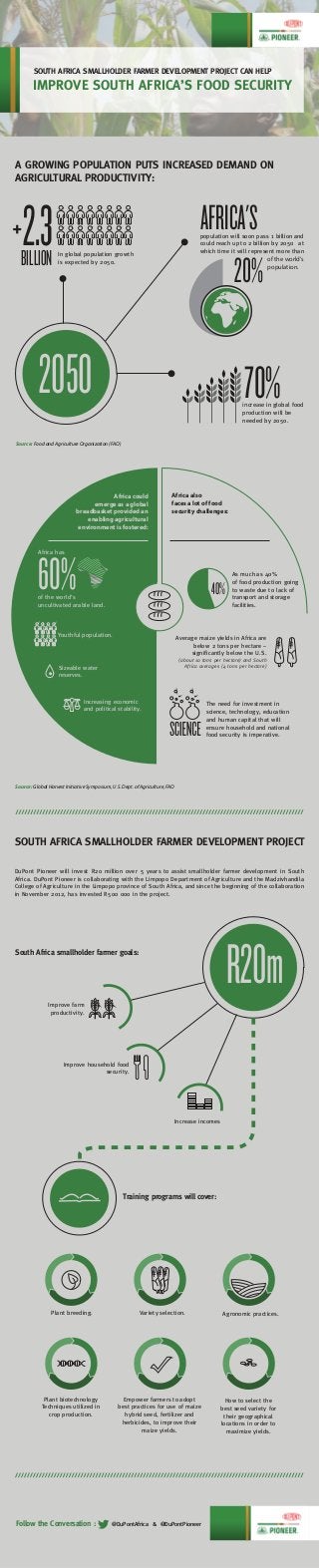 A GROWING POPULATION PUTS INCREASED DEMAND ON
AGRICULTURAL PRODUCTIVITY:
Improve farm
productivity.
SOUTH AFRICA SMALLHOLDER FARMER DEVELOPMENT PROJECT
IMPROVE SOUTH AFRICA’S FOOD SECURITY
SOUTH AFRICA SMALLHOLDER FARMER DEVELOPMENT PROJECT CAN HELP
BILLION
+2.3
2050 70%
60% 40%
20%
of the world’s
population.
In global population growth
is expected by 2050.
population will soon pass 1 billion and
could reach up to 2 billion by 2050 at
which time it will represent more than
AFRICA'S
increase in global food
production will be
needed by 2050.
of the world’s
uncultivated arable land.
Africa has
Africa could
emerge as a global
breadbasket provided an
enabling agricultural
environment is fostered:
Africa also
faces a lot of food
security challenges:
As much as 40%
of food production going
to waste due to lack of
transport and storage
facilities.
The need for investment in
science, technology, education
and human capital that will
ensure household and national
food security is imperative.
Increasing economic
and political stability.
Average maize yields in Africa are
below 2 tons per hectare –
significantly below the U.S.
(about 10 tons per hectare) and South
Africa averages (4 tons per hectare)Sizeable water
reserves.
Youthful population.
R20m
Training programs will cover:
Follow the Conversation :
South Africa smallholder farmer goals:
Improve household food
security.
Increase incomes
DuPont Pioneer will invest R20 million over 5 years to assist smallholder farmer development in South
Africa. DuPont Pioneer is collaborating with the Limpopo Department of Agriculture and the Madzivhandila
College of Agriculture in the Limpopo province of South Africa, and since the beginning of the collaboration
in November 2012, has invested R500 000 in the project.
Source: Food and Agriculture Organization (FAO)
Source: Global Harvest Initiative Symposium, U.S. Dept. of Agriculture, FAO
Plant breeding. Variety selection. Agronomic practices.
Plant biotechnology
Techniques utilized in
crop production.
Empower farmers to adopt
best practices for use of maize
hybrid seed, fertilizer and
herbicides, to improve their
maize yields.
How to select the
best seed variety for
their geographical
locations in order to
maximize yields.
@DuPontAfrica & @DuPontPioneer
 