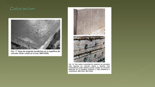 Colocación: 