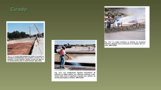 Curado: 