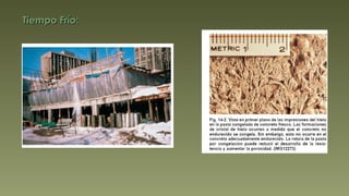 Tiempo Frío: 