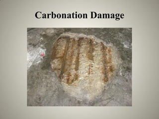 Carbonation Damage
 
