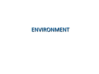 ENVIRONMENTENVIRONMENT
 