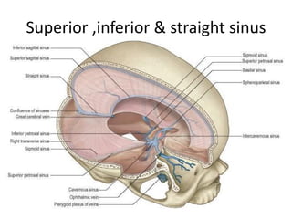 Superior ,inferior & straight sinus
 