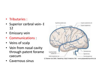 • Tributaries :
• Superior cerbral vein- 8-
12
• Emissary vein
• Communications :
• Veins of scalp
• Vein from nasal cavity
through patent foramen
caecum
• Cavernous sinus
 