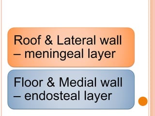 Roof & Lateral wall
– meningeal layer
Floor & Medial wall
– endosteal layer
 