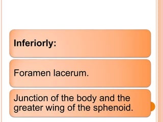 Inferiorly:
Foramen lacerum.
Junction of the body and the
greater wing of the sphenoid.
 