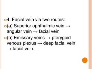 4. Facial vein via two routes:
(a) Superior ophthalmic vein →
angular vein → facial vein
(b) Emissary veins → pterygoid
venous plexus → deep facial vein
→ facial vein.
 