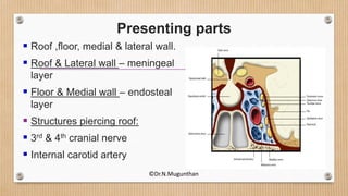 Presenting parts
 Roof ,floor, medial & lateral wall.
 Roof & Lateral wall – meningeal
layer
 Floor & Medial wall – endosteal
layer
 Structures piercing roof:
 3rd & 4th cranial nerve
 Internal carotid artery
©Dr.N.Mugunthan
 