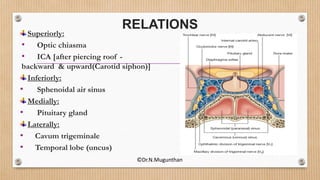 RELATIONS
Superiorly:
• Optic chiasma
• ICA [after piercing roof -
backward & upward(Carotid siphon)]
Inferiorly:
• Sphenoidal air sinus
Medially:
• Pituitary gland
Laterally:
• Cavum trigeminale
• Temporal lobe (uncus)
©Dr.N.Mugunthan
 