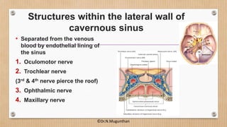 Structures within the lateral wall of
cavernous sinus
• Separated from the venous
blood by endothelial lining of
the sinus
1. Oculomotor nerve
2. Trochlear nerve
(3rd & 4th nerve pierce the roof)
3. Ophthalmic nerve
4. Maxillary nerve
©Dr.N.Mugunthan
 