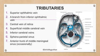 TRIBUTARIES
1. Superior ophthalmic vein
2. A branch from inferior ophthalmic
vein
3. Central vein of retina
4. Superficial middle cerebral vein
5. Inferior cerebral veins
6. Spheno-parietal sinus
7. Anterior trunk of middle meningeal
sinus (occasionally)
©Dr.N.Mugunthan
 