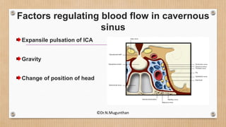 Factors regulating blood flow in cavernous
sinus
Expansile pulsation of ICA
Gravity
Change of position of head
©Dr.N.Mugunthan
 