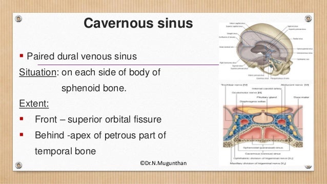 Dural Venous Sinuses Cavernous Sinus Dr N Mugunthan Dural Venous Sinuses Cavernous Sinus Dr N Mugunthan