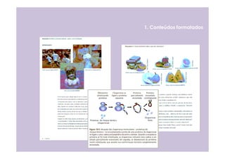 1. Conteúdos formatados
 