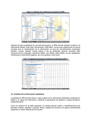 Figura 11: Ejemplo de un estado para consulta por AGEB
Además de esta posibilidad de consulta del espacio, el IRIS permite también acceder a la
información tabular. Esta vista, denominada “Vista tabla”, es de suma utilidad para no solo la
consulta sino la manipulación de la información, ya que los procedimientos contenidos
admiten, incluso, agregar nuevas tablas a las ya existentes; generar consultas SQL
(Structured Query Language), relacionar tablas, unir tablas, editar tablas, ya sea agregando,
modificando o eliminando registros, así como graficar, entre otros.
Figura 12: Ejemplo de funciones asociadas a la información tabular
2.3 Análisis de la información estadística
La plataforma IRIS permite llevar a cabo análisis de la información estadística contenida en
tablas y en capas de información, mediante la generación de gráficos y mapas temáticos,
respectivamente.
Como se observa en la tabla siguiente, es posible generar series o estratificaciones que
permiten ordenar, clasificar y agrupar datos y objetos de acuerdo con alguna característica
específica o criterio definido por el usuario.
 