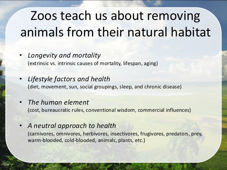 Wild Animals, Zoos, and You The Influence of Habitat on Health (John…
