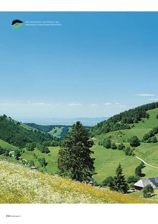 Wir sind Partner und Förderer des
Naturparks Schwarzwald Mitte/Nord.
244 badmagazin
 
