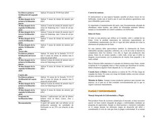 En febrero primera
fertilización del segundo
año
Aplicar 10 onzas de 18-46-0 por árbol
30 días después de la
primera fertilización –
marzo
Aplicar 5 onzas de nitrato de amonio por
árbol
30 días después de la
segunda fertilización –
abril
Aplicar 5 onzas de nitrato de amonio mas 4
onzas de Sulpomag mas 2 onzas de cal por
árbol
30 días después de la
tercera fertilización –
mayo
Aplicar 5 onzas de nitrato de amonio mas 4
onzas de Sulpomag mas 2 onzas de cal por
árbol
30 días después de la
cuarta fertilización –
junio
Aplicar 5 onzas de nitrato de amonio por
árbol
30 días después de la
quinta fertilización –
julio
Aplicar 5 onzas de nitrato de amonio por
árbol
Tercer año
En febrero primera
fertilización del tercer
año
Aplicar 16 onzas de la formula 15-15-15
mas 8 onzas de nitrato de amonio mas 6
onzas de cal por árbol
30 días después de la
primera fertilización –
marzo
Aplicar 8 onzas de nitrato de amonio mas 3
onzas de Sulpomag por árbol
30 días después de la
segunda fertilización –
abril
Aplicar 8 onzas de nitrato de amonio por
árbol
Cuarto año
En febrero primera
fertilización del cuarto
año
Aplicar 16 onzas de la formula 15-15-15
mas 8 onzas de nitrato de amonio mas 8
onzas de cal por árbol
30 días después de la
primera fertilización –
marzo
Aplicar 8 onzas de nitrato de amonio mas 4
onzas de Sulpomag por árbol
30 días después de la
segunda fertilización –
abril
Aplicar 8 onzas de nitrato de amonio por
árbol
Programa de
fertilización foliar
Realizar 3 aplicaciones por año de abonos
foliares ricos en Boro, Calcio, Zinc y
Manganeso.
Recomendación A partir del quinto año con árboles ya en
producción aumentar las cantidades de
fertilizante en un 25% con relación al año
anterior
Control de malezas
El melocotonero es una especie bastante sensible al efecto tóxico de los
herbicidas, siendo este el motivo por el cual esta práctica agronómica está
poco difundida a gran escala.
Es importante el mantenimiento del suelo, muy frecuentemente afectado de
abundantes malas hierbas, que deben ser eliminadas mediante labores,
aunque es recomendable un control cuidadoso con herbicidas.
Raleo de frutos
El raleo es una practica que influye en el tamaño, color y calidad de las
frutas. Evita la perdida innecesaria de nutrientes especialmente de
Carbohidratos manteniendo con ello el vigor del árbol además de evitar la
alternancia de producción de fruto.
En esta práctica debe aprovecharse también la eliminación de frutos
indeseables (picados, pequeños, enfermos, etc.) a fin de evitar al máximo la
competencia entre los mismos. Con ello se logra una producción más
pareja, frutos de un mismo tamaño y sobre todo, evitar que el árbol se
desgaste excesivamente con la producción de mucha fruta pequeña y de
mala calidad.
Para el durazno debe manejarse el concepto de distancia entre frutas, siendo
la óptima de 4 a 6 pulgadas entre sí. Para ciruelas que fructifican en racimo,
deben eliminarse algunos frutos dejando de 2 a 3 en cada yema.
Cuando hacer el Raleo: Esta práctica se realiza de 30 a 50 días luego de
cuajadas las frutas. En zonas con riesgo de heladas tardías conviene retrazar
un poco esta actividad.
Métodos de Raleo: Aunque existen productos químicos para ejecutar esta
práctica, en el país no se han evaluado convenientemente por lo que se
sugiere realizarse manualmente.
P
P
PL
L
LA
A
AG
G
GA
A
AS
S
S Y
Y
Y E
E
EN
N
NF
F
FE
E
ER
R
RM
M
ME
E
ED
D
DA
A
AD
D
DE
E
ES
S
S
Manejo Integrado de Enfermedades y Plagas
Para producir frutos de excelente calidad para el mercado, se hace necesario
ejercer un buen control integrado de plagas y enfermedades mediante un
programa de aspersiones, basado en observaciones y monitores realizados
en el campo durante las diferentes etapas de desarrollo del árbol y
considerando el ciclo de vida que tiene la plaga o enfermedad. Si se toman
8
 