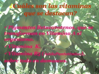 ¿Cuáles son las vitaminas
     que se destacan?

  Pigmentos Betacarotenos, que se
transforman en Vitamina A el
organismo.
  Vitamina K.
  Vitamina B5 (AcidoPantotémico),
sobre todo en damascos.
 