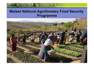 Malawi National Agroforestry Food Security
                Programme
 
