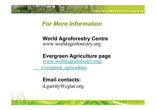For More Information

       World Agroforestry Centre
       www.worldagroforestry.org	


      Evergreen Agriculture page
      www.worldagroforestry.org/	

      evergreen_agriculture	

	

       Email contacts:
       d.garrity@cgiar.org	

      – 
 