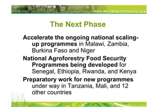 The Next Phase
Accelerate the ongoing national scaling-
   up programmes in Malawi, Zambia,
   Burkina Faso and Niger
National Agroforestry Food Security
   Programmes being developed for
   Senegal, Ethiopia, Rwanda, and Kenya
Preparatory work for new programmes
   under way in Tanzania, Mali, and 12
   other countries
 