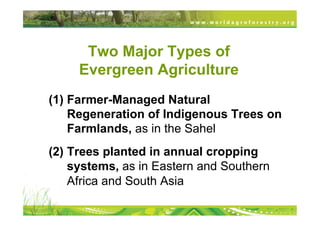 Two Major Types of
     Evergreen Agriculture
(1) Farmer-Managed Natural
    Regeneration of Indigenous Trees on
    Farmlands, as in the Sahel
(2) Trees planted in annual cropping
    systems, as in Eastern and Southern
    Africa and South Asia
 