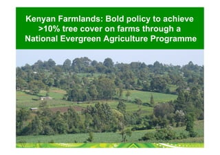 Kenyan Farmlands: Bold policy to achieve
   >10% tree cover on farms through a
National Evergreen Agriculture Programme
 