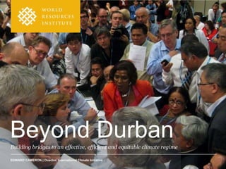 Beyond Durban
Building bridges to an effective, efficient and equitable climate regime

EDWARD CAMERON | Director, International Climate Initiative
 