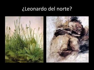 ¿Leonardo del norte?
 