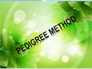 PEDIGREE METHOD OF PLANT BREEDING | PPTX
