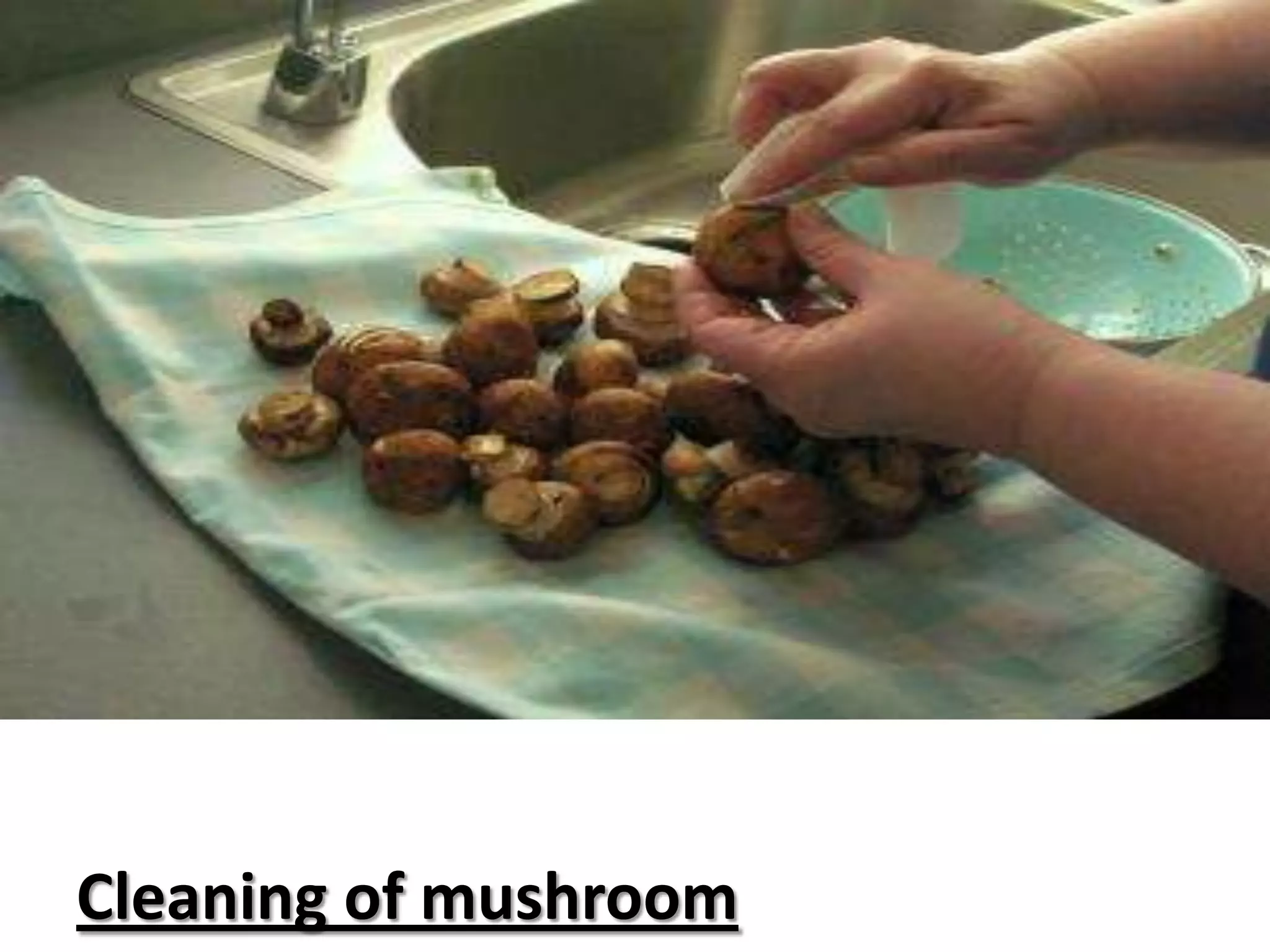 Cleaning of mushroom

 