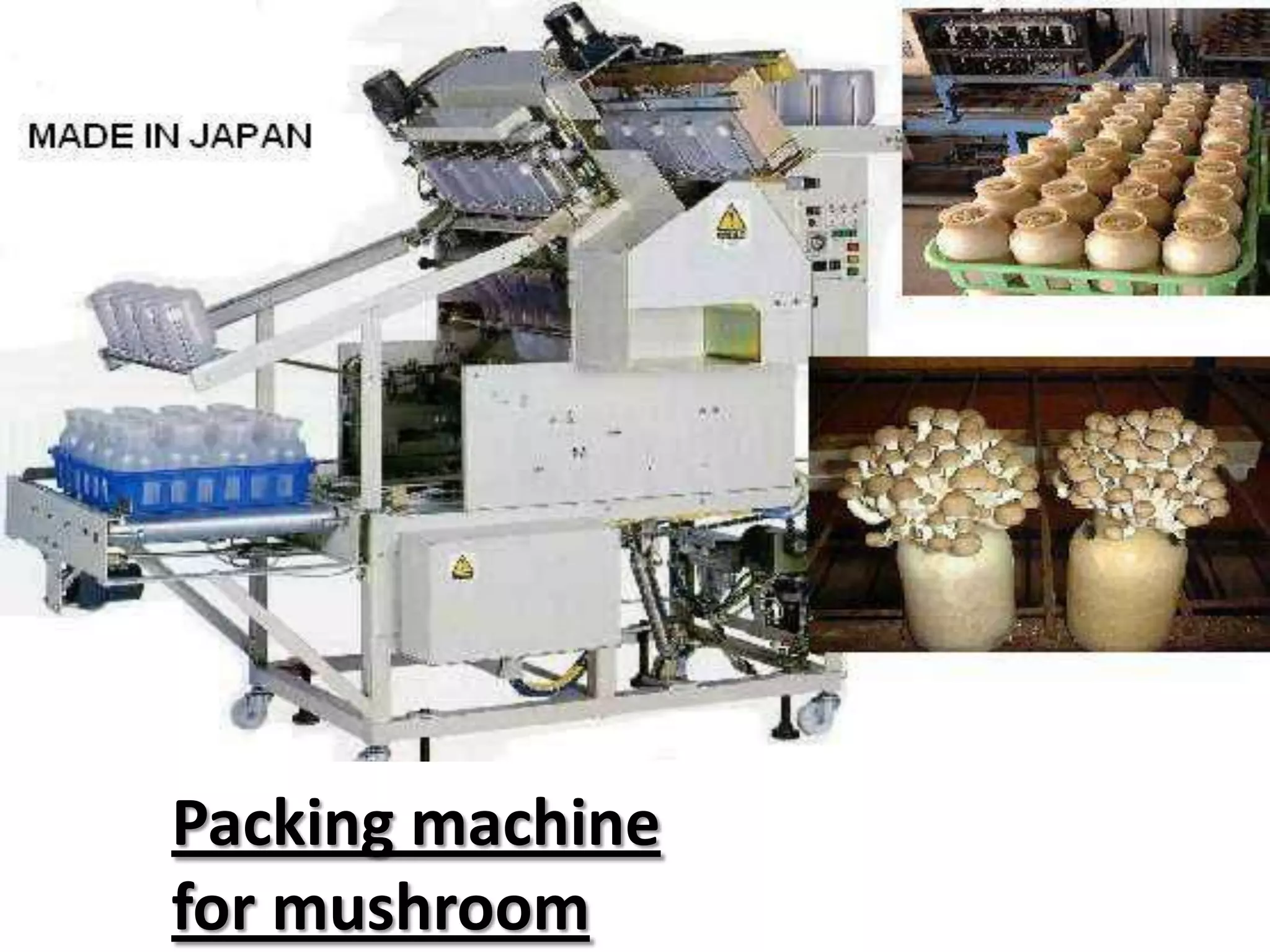 Packing machine
for mushroom

 