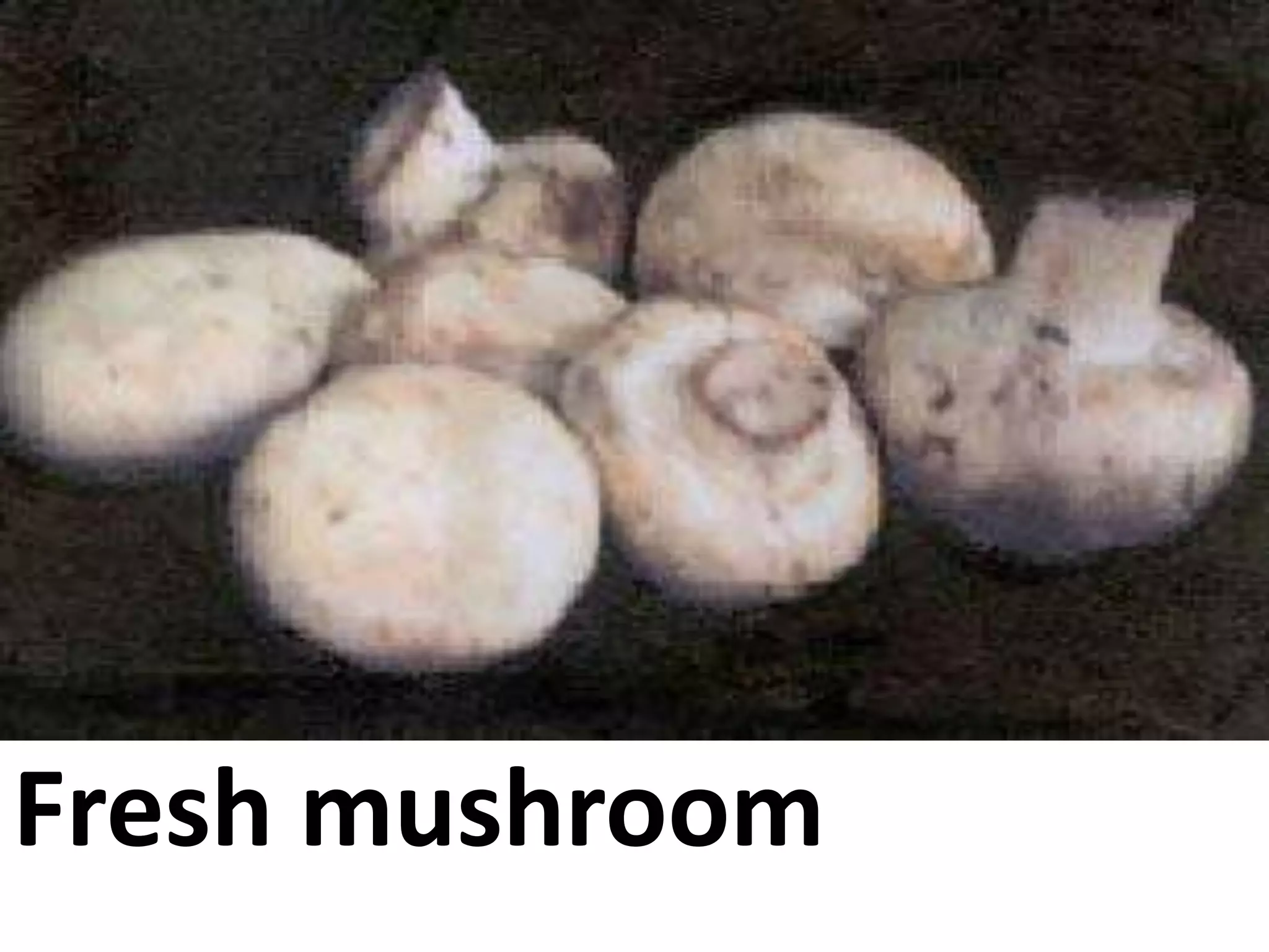Fresh mushroom

 