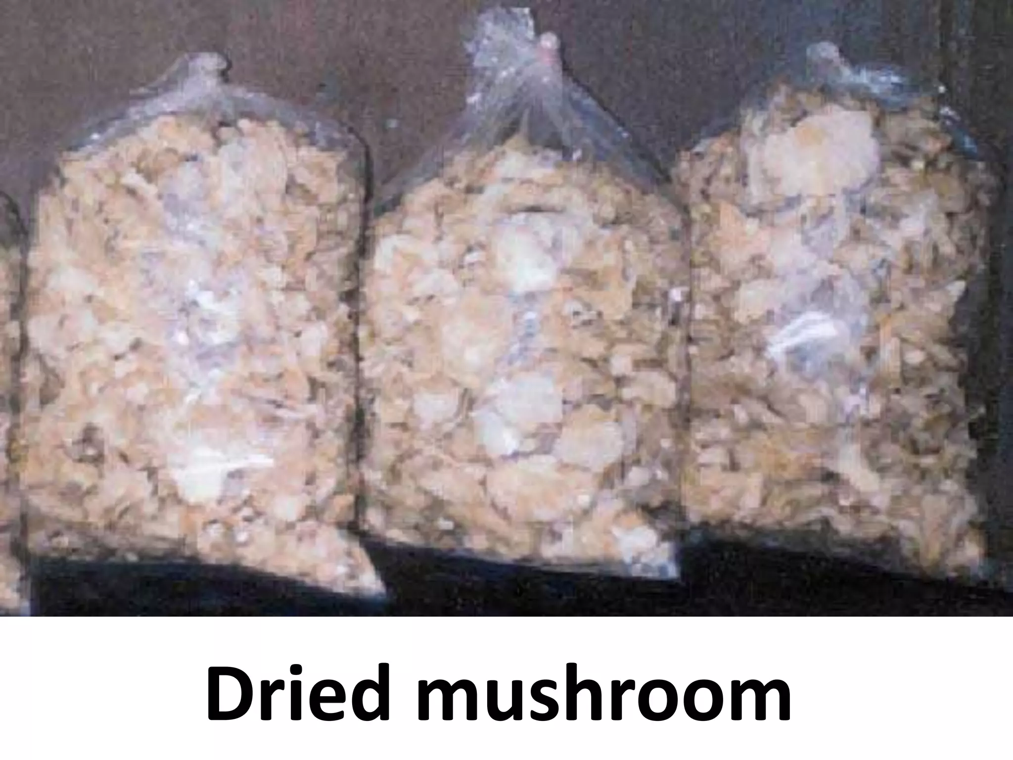 Dried mushroom

 