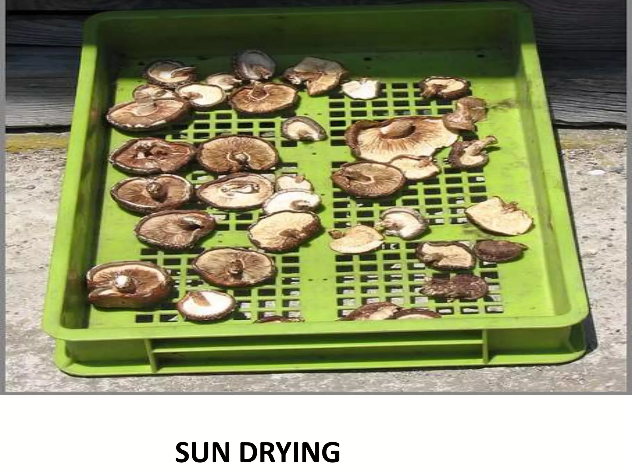 SUN DRYING

 