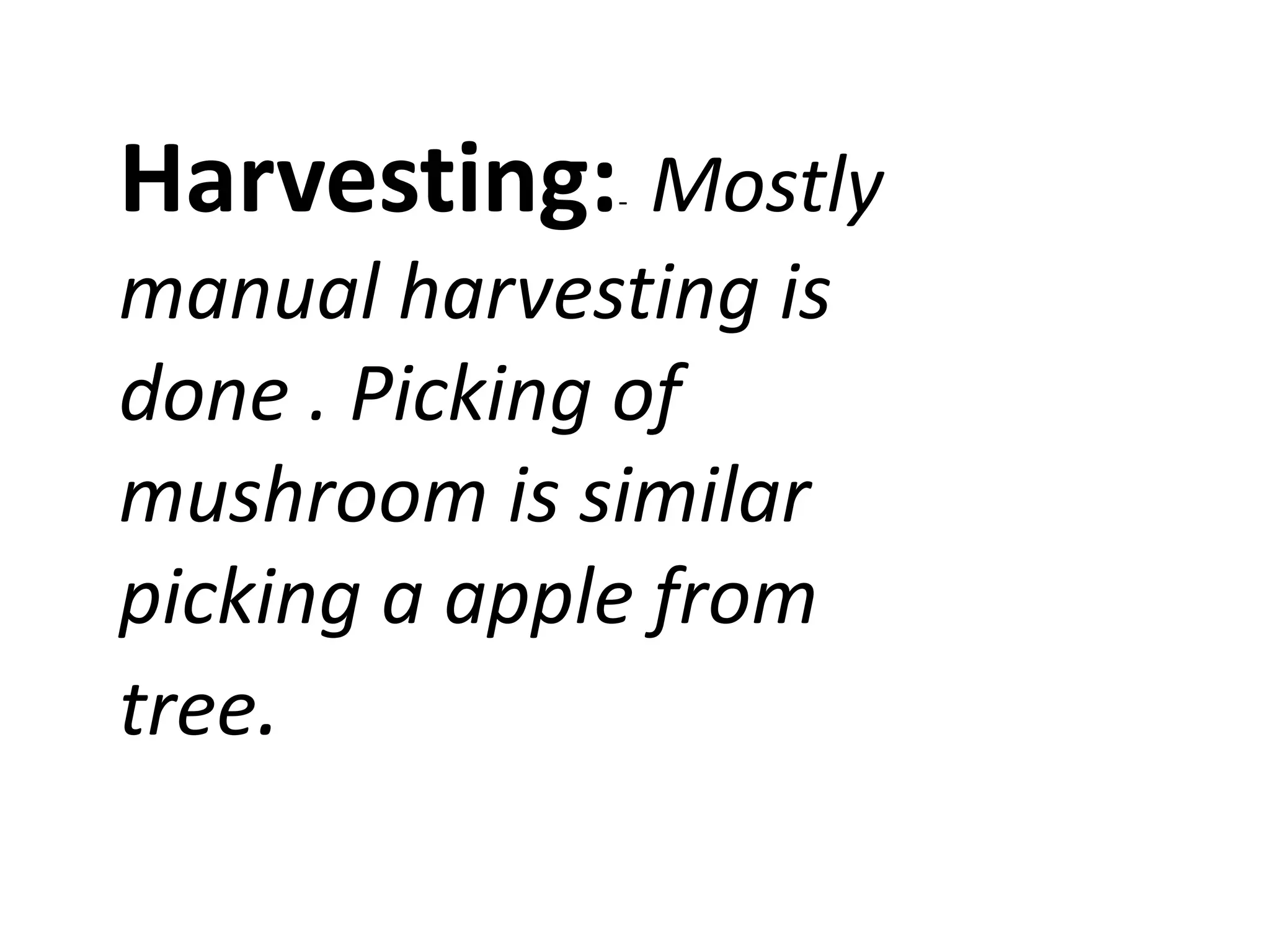 Harvesting: Mostly
-

manual harvesting is
done . Picking of
mushroom is similar
picking a apple from
tree.

 