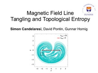 Magnetic Field Line
Tangling and Topological Entropy
Simon Candelaresi, David Pontin, Gunnar Hornig
 