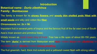 DURIAN FINAL.pptx. D | PPTX