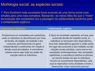 Morfologia social: as espécies sociais: Para Durkheim toda sociedade havia evoluído de uma forma social mais simples para uma mais complexa. Baseando –se nessa idéia diz que o “motor” da evolução das sociedades era a passagem da solidariedade mecânica para a solidariedade orgânica. Solidariedade Mecânica: Solidariedade orgânica:  Predominava em sociedades pré-capitalistas, onde os indivíduos se identificavam por meio da família, da religião, da tradição e dos costumes, permanecendo em geral independentes e autônomos em relação à divisão social do trabalho. A consciência coletiva exerce aqui todo seu poder de coerção sobre os indivíduos. É típico da sociedade capitalista, em que, pela acelerada divisão do trabalho social, os indivíduos se tornavam inter-dependentes. Essa inter-dependência garante a união social, em lugar dos costumes e das tradições ou das relações sociais estreitas, como ocorre nas sociedades contemporâneas. Nas sociedades capitalistas, a consciência coletiva se afrouxa, ao mesmo tempo em que os indivíduos tornam-se mutuamente dependentes, cada qual se especializa numa atividade e tende a desenvolver maior autonomia pessoal.  