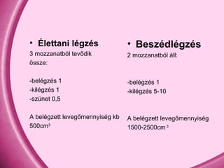Élettani légzés 3 mozzanatból tevődik össze: -belégzés 1 -kilégzés 1 -szünet 0,5 A belégzett levegőmennyiség kb 500cm 3  Beszédlégzés 2 mozzanatból áll: -belégzés 1 -kilégzés 5-10 A belégzett levegőmennyiség 1500-2500cm  3 