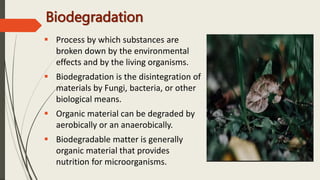 Durlov(20103402).pptx