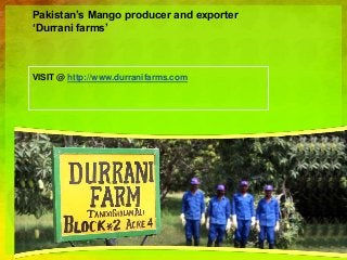 Pakistan’s Mango producer and exporter
‘Durrani farms’
VISIT @ http://www.durranifarms.com
 