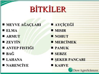BİTKİLER
s   MEYVE AĞAÇLARI   s   AYÇİÇEĞİ
s   ELMA             s   MISIR
s   ARMUT            s   NOHUT
s   ZEYTİN           s   MERCİMEK
s   ANTEP FISTIĞI    s   PAMUK
s   BAĞ              s   SEBZE
s   LAHANA           s   ŞEKER PANCARI
s   NARENCİYE        s   KAHVE
 