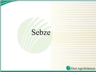 Sebze
 