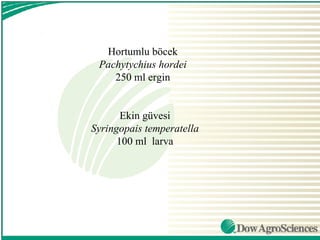 Hortumlu böcek
 Pachytychius hordei
    250 ml ergin


       Ekin güvesi
Syringopais temperatella
      100 ml larva
 